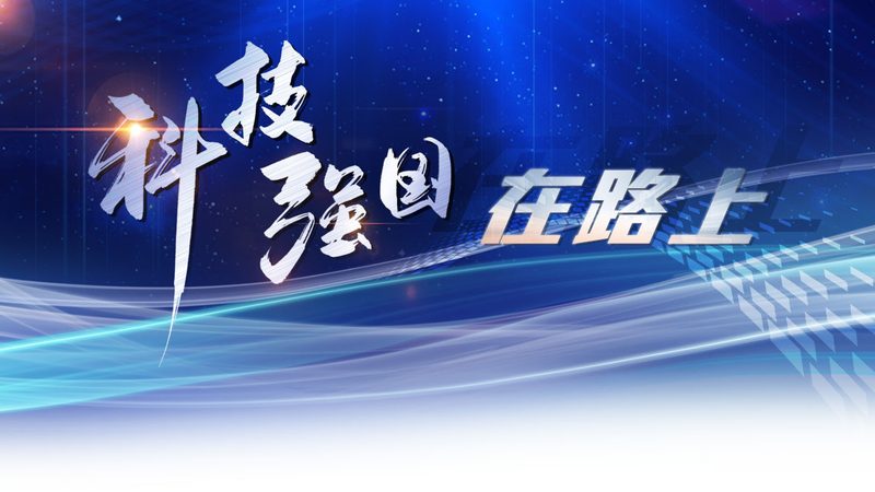 API接口参数加密传输：安全与效率的平衡之道